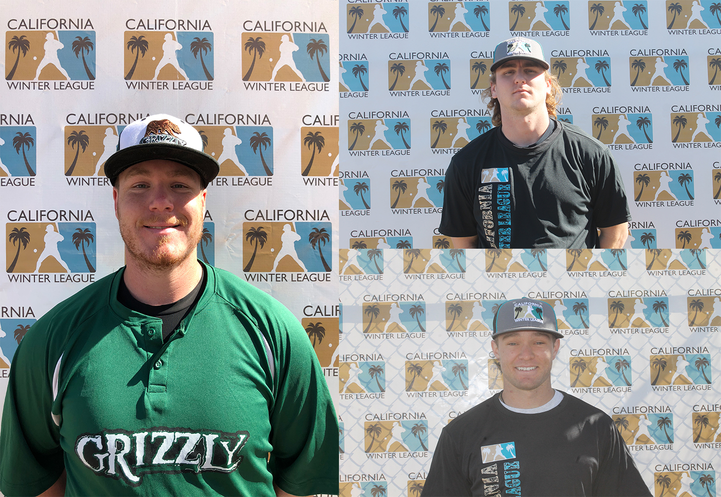 Trio of CWL Players Off to Hot Starts for Diamond Hoppers