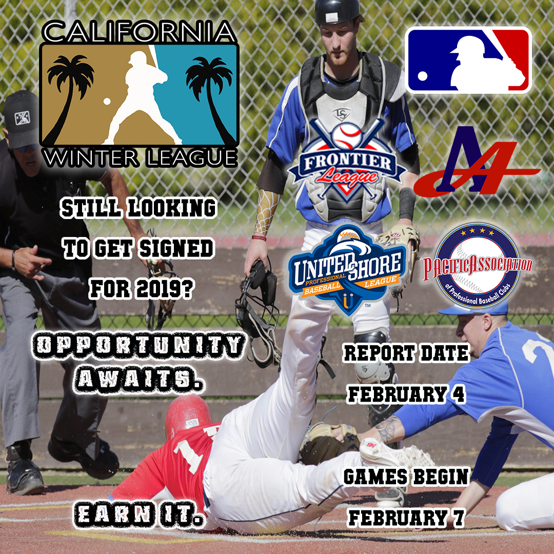 Happy New Year from the CWL!