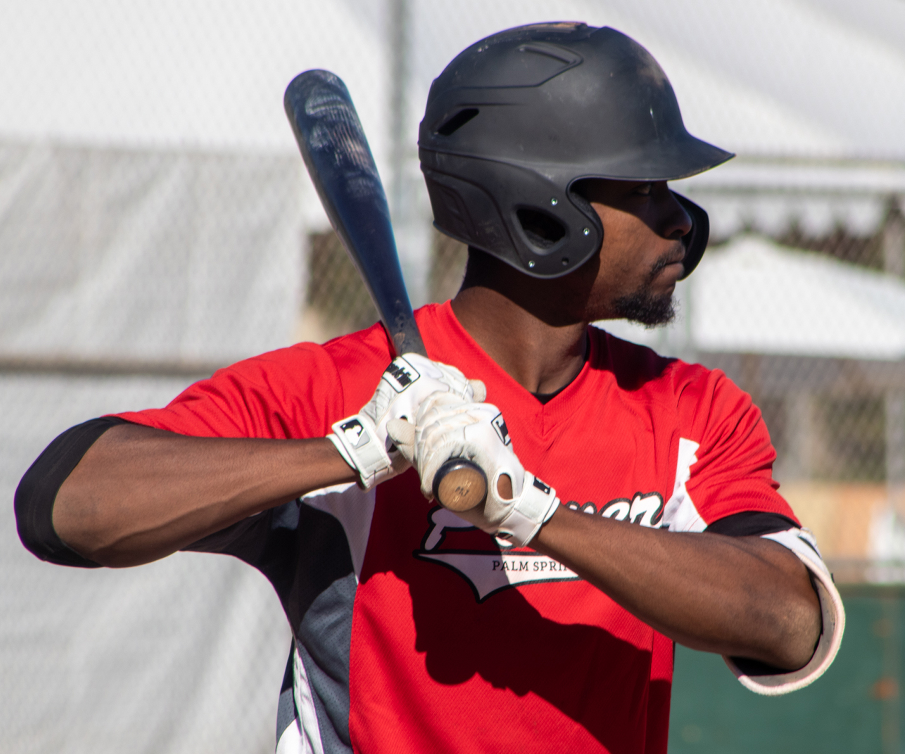 Bats Come Alive on Day 5