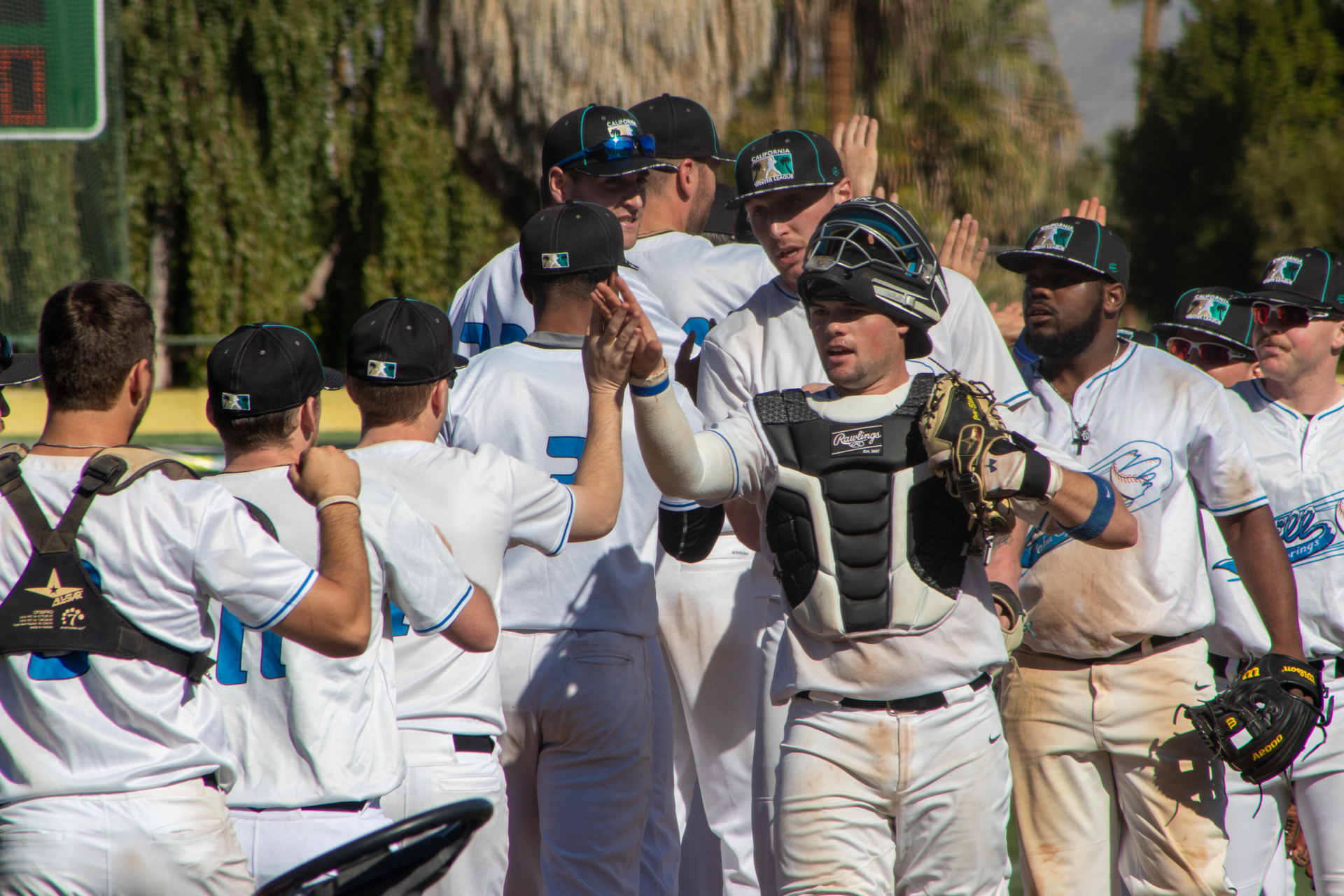 Chill, Grizzly, A’s, Jacks Pick Up Opening Day Wins