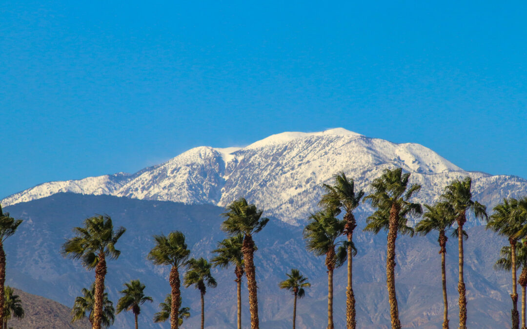 2024 CWL Player Registration Now Open